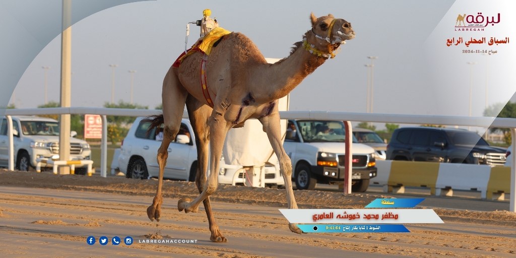 أشواط الإنتاج تفتتح المرحلة الثانية من السباق المحلي الرابع