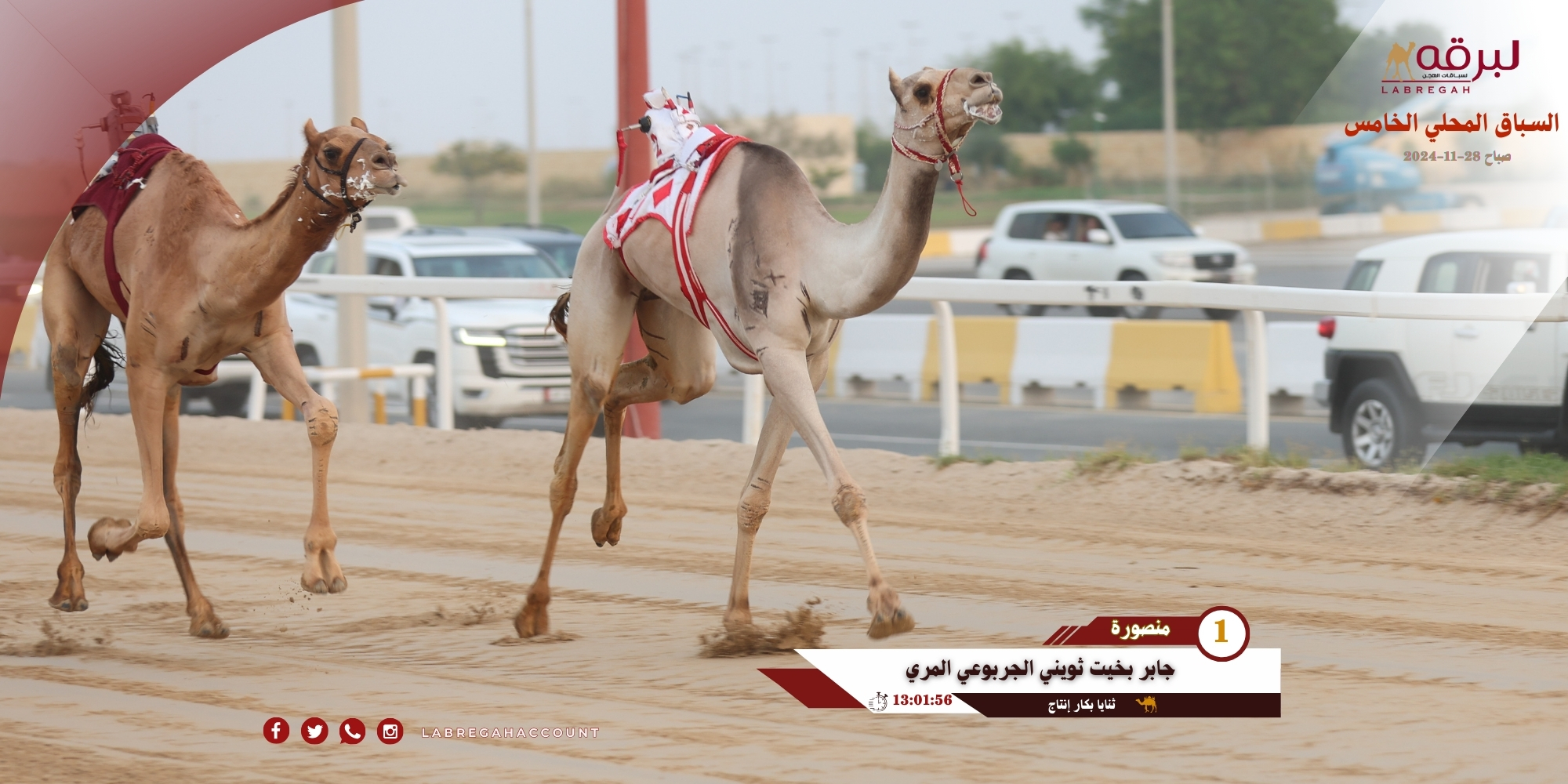 جابر بن ثويني يحسم معركة الثنايا بكار إنتاج.. وعبدالله بن ذروه يكتسح القعدان بأفضل توقيت