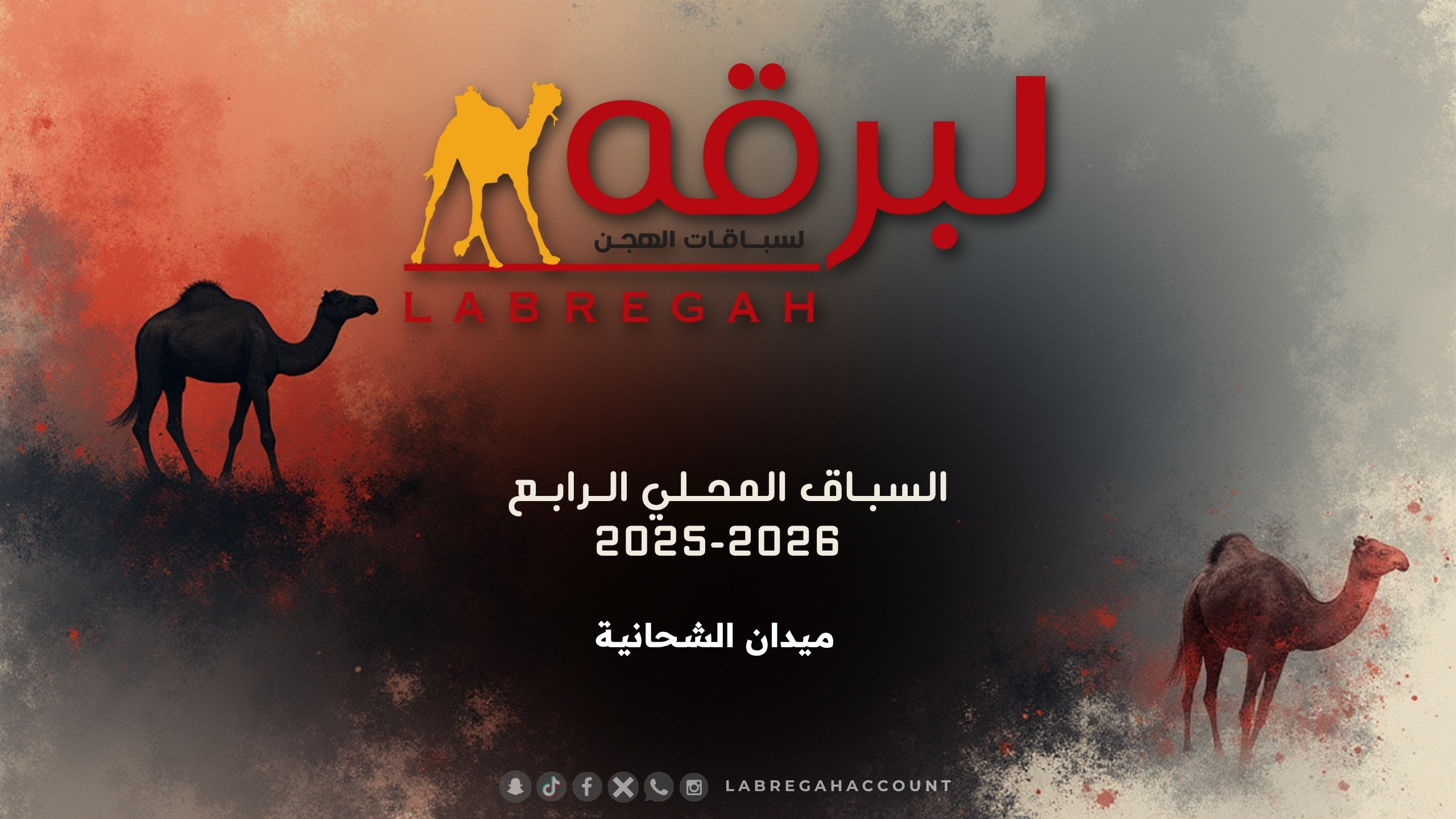 ش5 ربوع لـ هجن الشحانية (محمد بن خالد العطية) السباق المحلي الرابع 12-11-2025م حيل مفتوح 9:24:06 