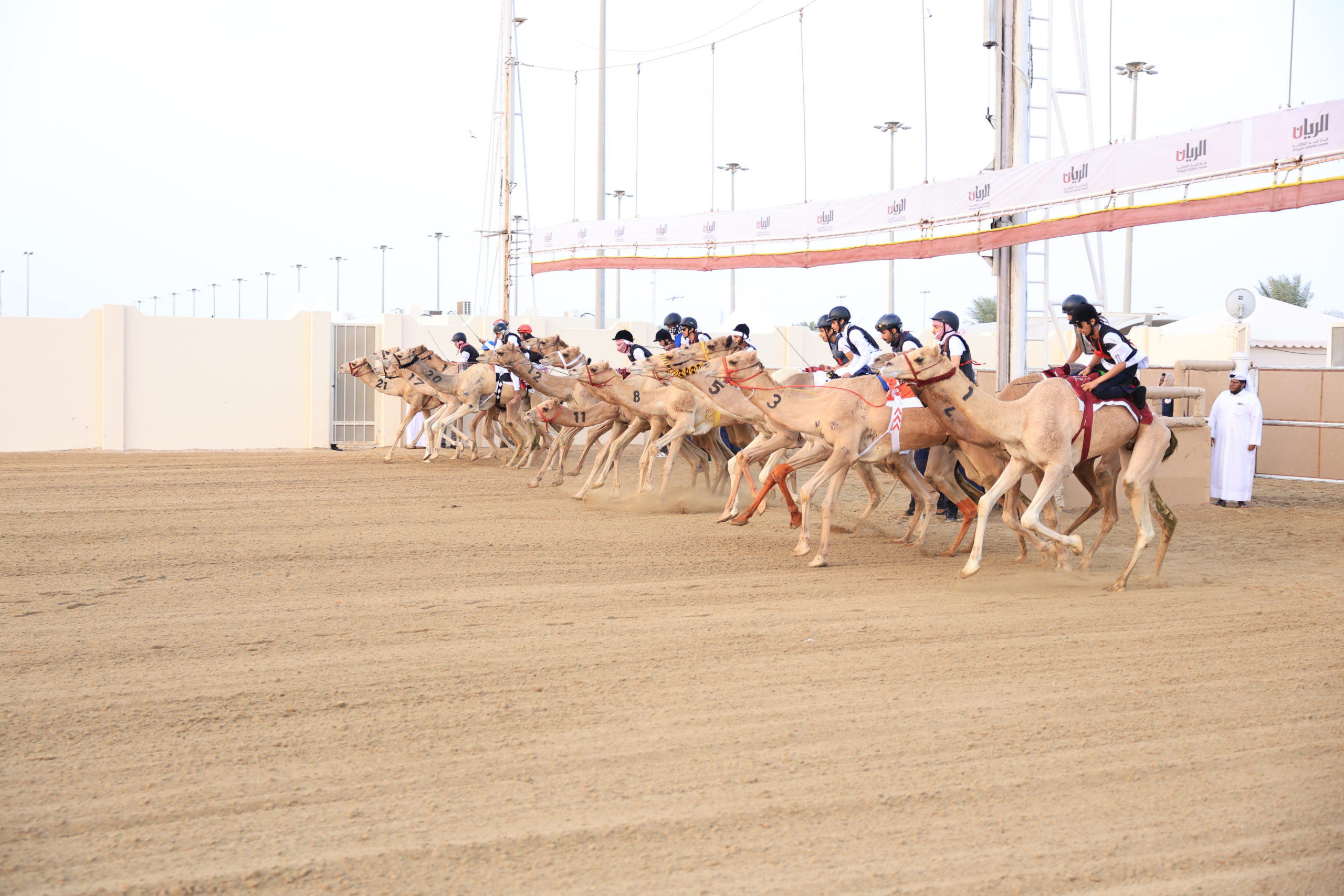 سباق الهجن التراثي يجسد عبق الماضي وروح التحدي