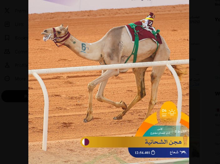 هجن الشحانية تشعل ميدان الجنادرية وتتوج بكأس الثنايا قعدان مفتوح