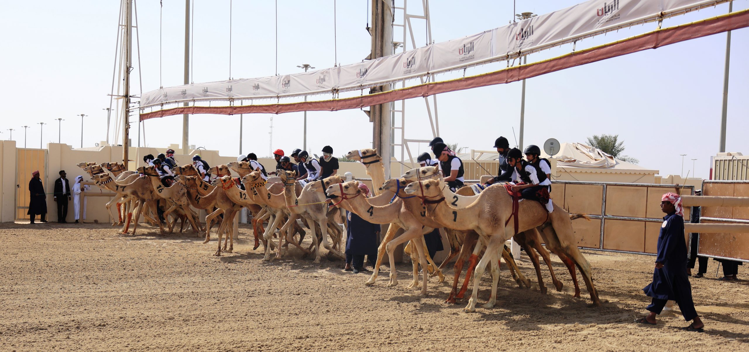 السباق التراثي يفتتح فعاليات مهرجان الأمير الوالد 2026