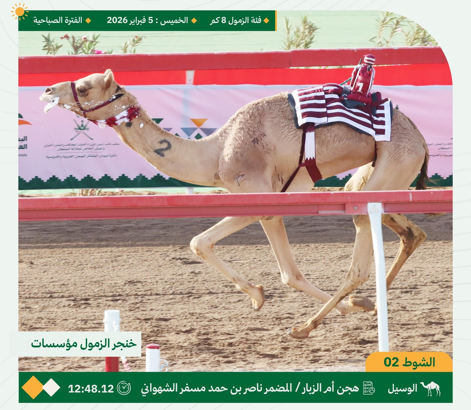 هجن أم الزبار تواصل التألق خارج الحدود وتحصد خنجري الثنايا والزمول