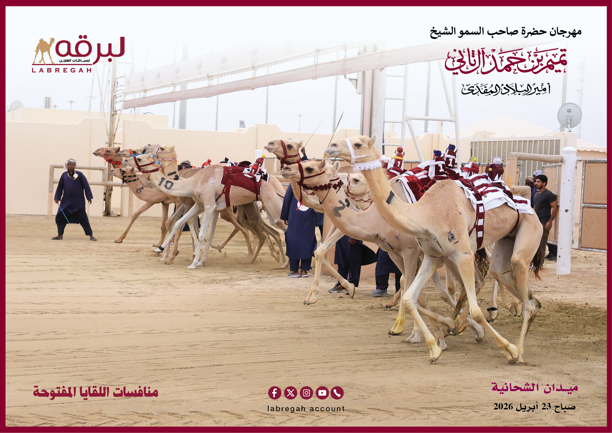 هجن الشحانية تفتتح نواميس اللقايا المفتوحة بأفضل توقيت