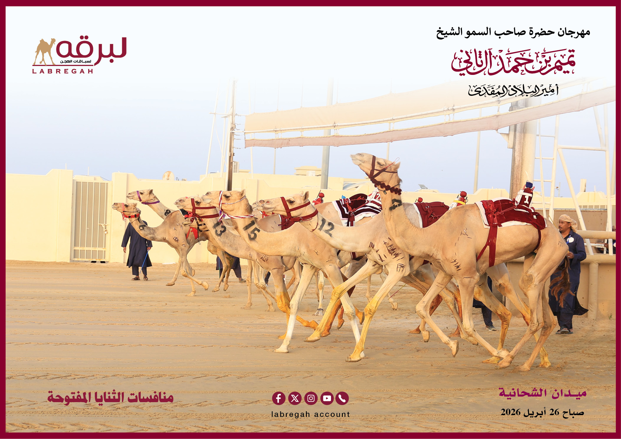 هجن الشحانية تسيطر على ناموسي الثنايا الصباحية